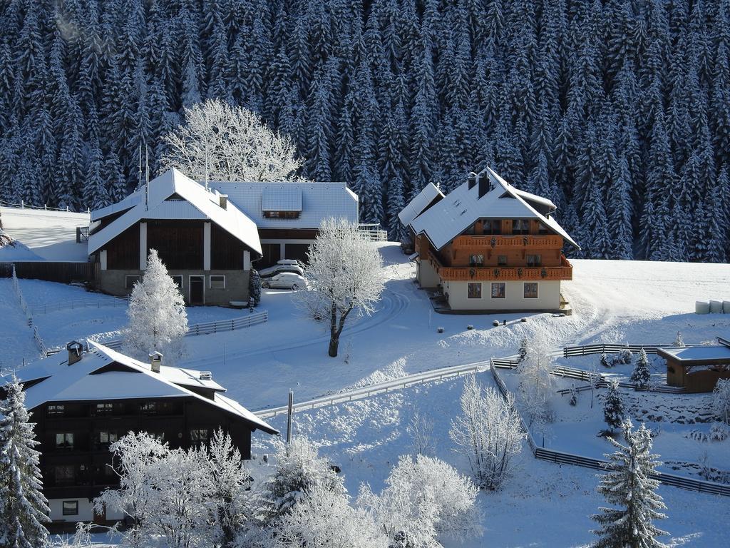 Der Hoferbauer Apartment Bad Kleinkirchheim Bagian luar foto