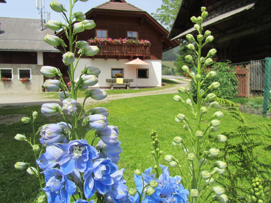 Der Hoferbauer Apartment Bad Kleinkirchheim Bagian luar foto