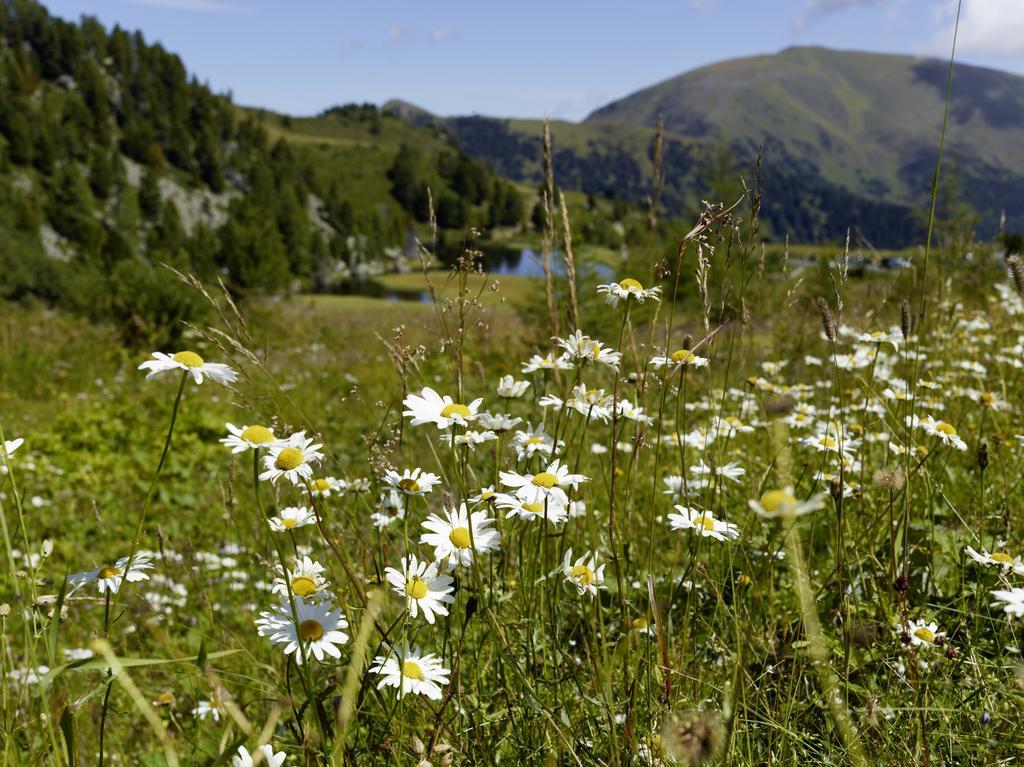 Der Hoferbauer Apartment Bad Kleinkirchheim Bagian luar foto