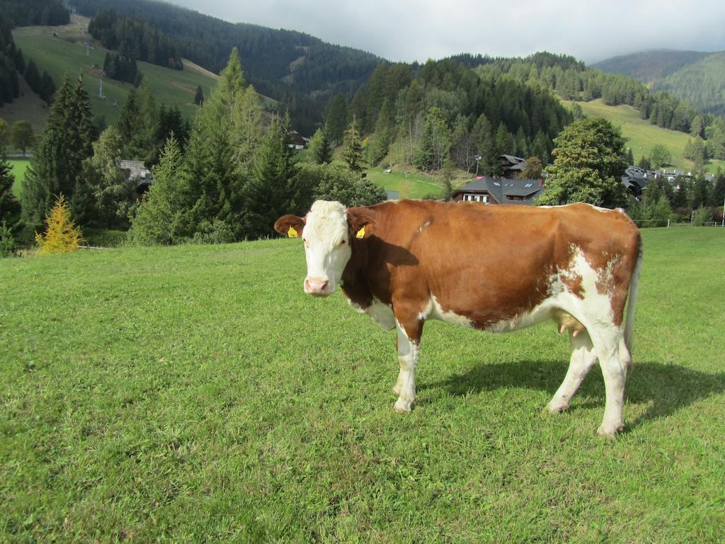 Der Hoferbauer Apartment Bad Kleinkirchheim Bagian luar foto