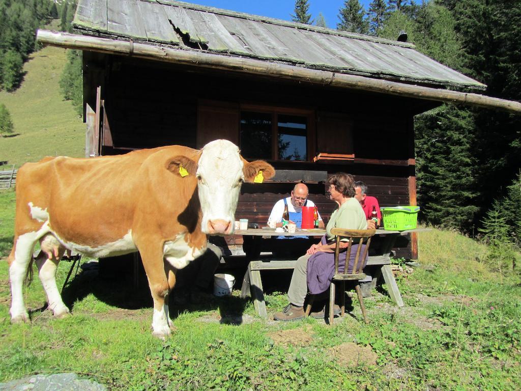Der Hoferbauer Apartment Bad Kleinkirchheim Bagian luar foto
